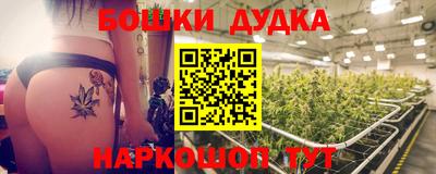 гидра Будённовск