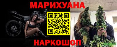 гидра Будённовск