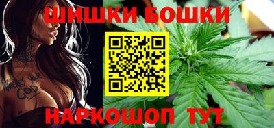 гидра Будённовск