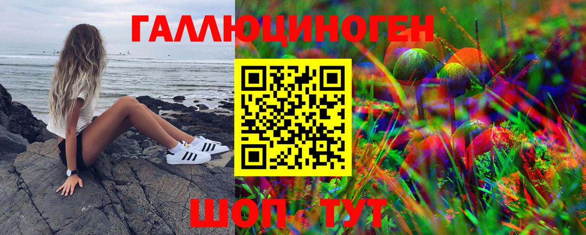 Псилоцибиновые грибы мицелий Краснотурьинск